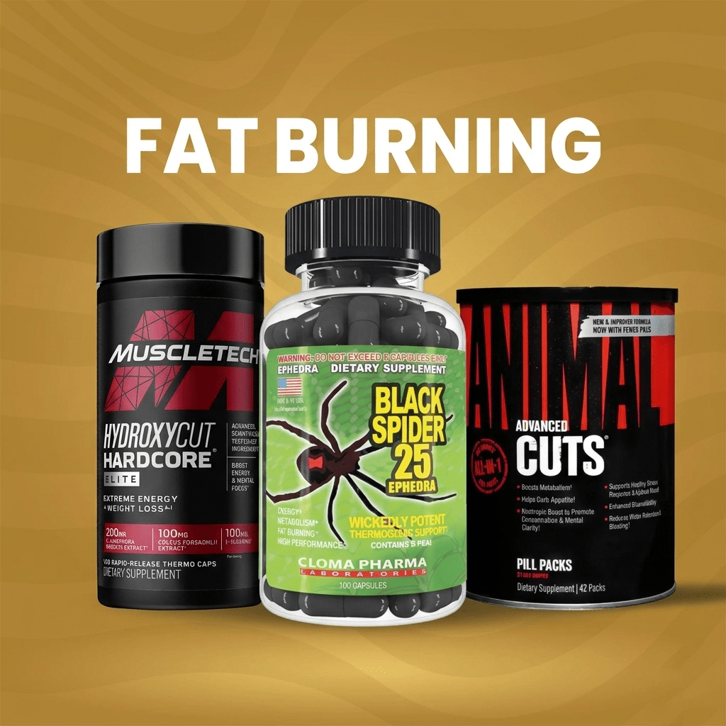 Fat burning - Concept Nutrition