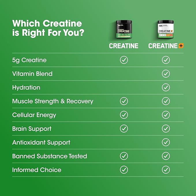 Optimum Nutrition (ON) Micronized Creatine Monohydrate Powder 60 Servings, 300 Grams