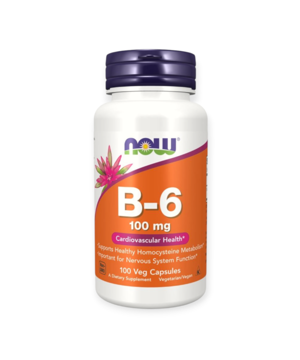 Now Foods Vitamin B-6 100 mg Veg Capsules