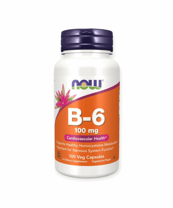 Now Foods Vitamin B - 6 100 mg Veg Capsules - Egypt