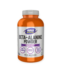NOW Sports Beta - Alanine Powder – Endurance & Performance Support - Egypt