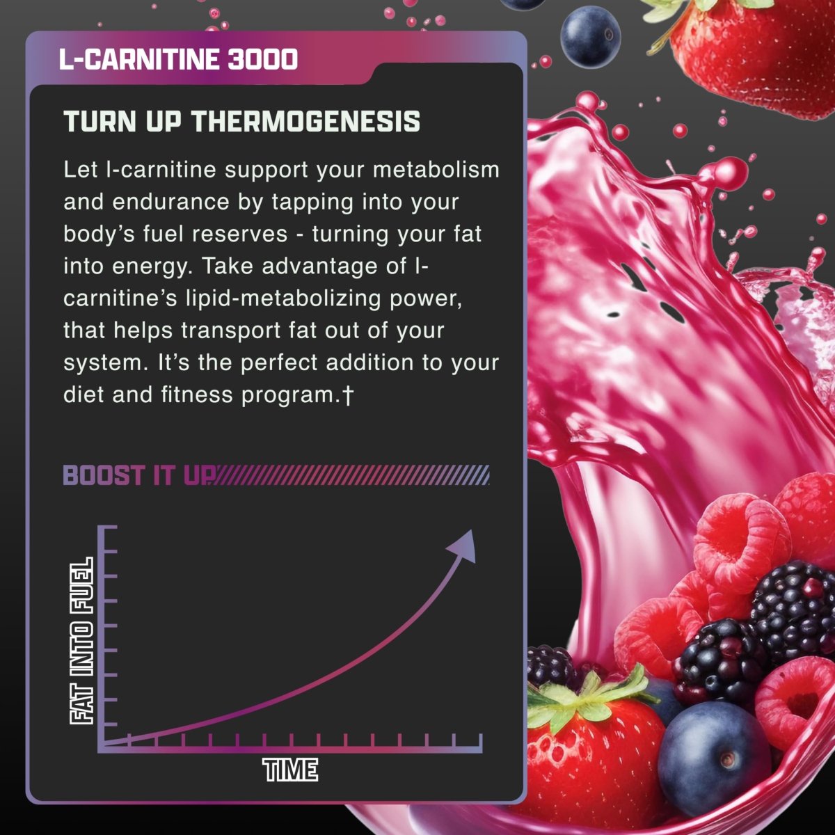 Nutrex Research L-Carnitine 3000 (31 Servings, Berry Blast) | Liquid Shots, Stimulant Free | Supports Muscle Recovery For Men and Women - Egypt