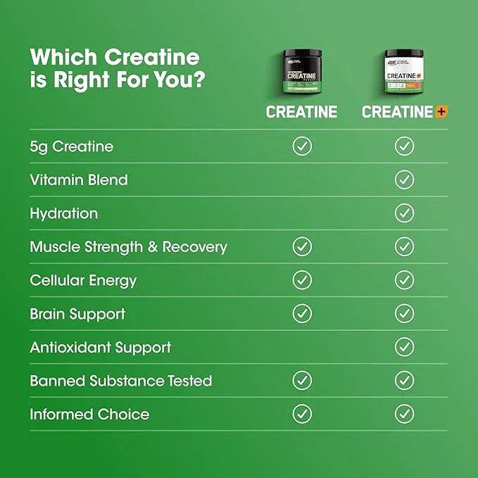 Optimum Nutrition Micronized Creatine Monohydrate - 300g - Egypt