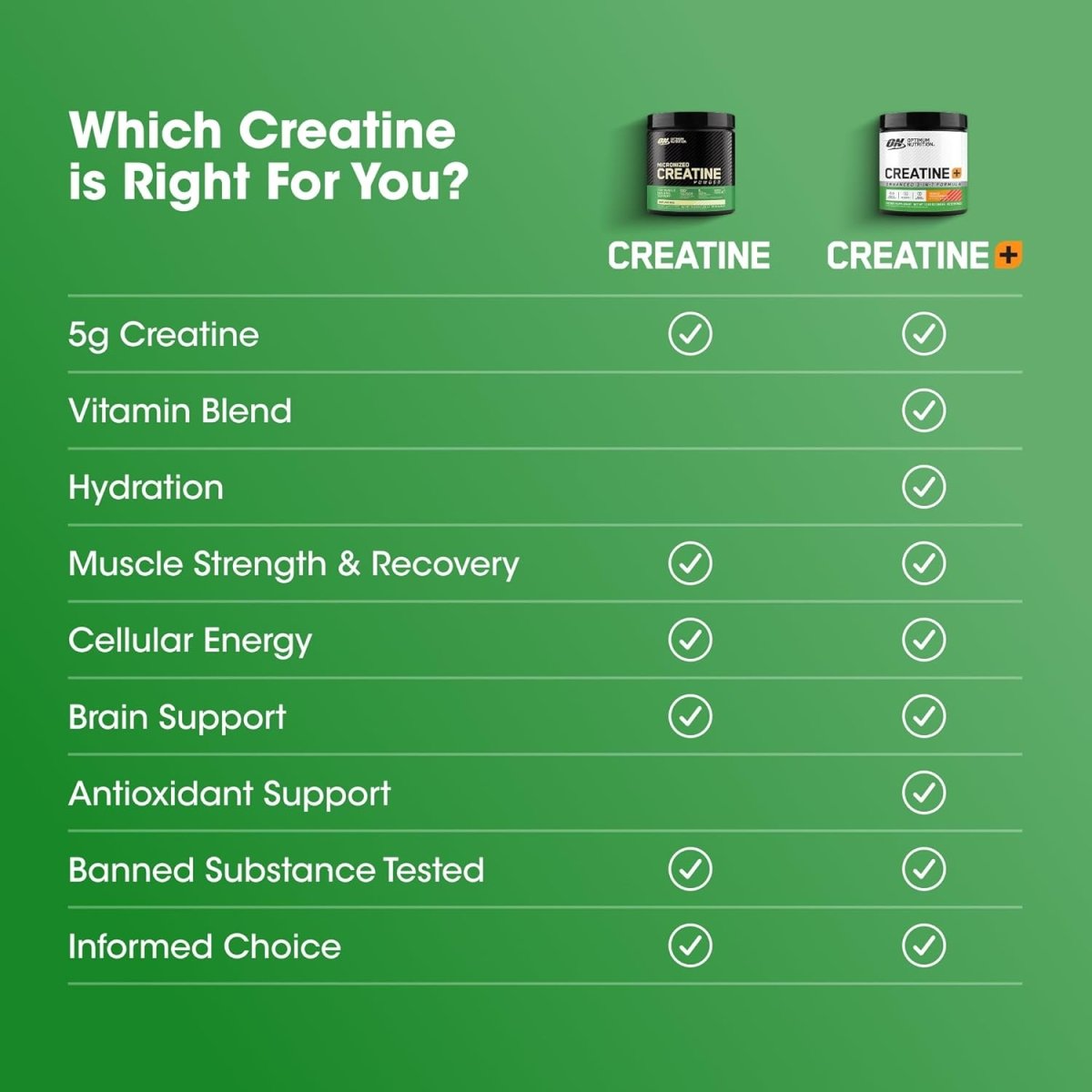 Optimum Nutrition Micronized Creatine Monohydrate - 600g - Egypt