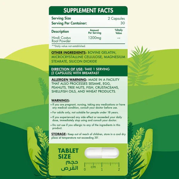 Organic Nation Hindi Costus Root - Immune & Digestive Support - 60 Capsules - Egypt